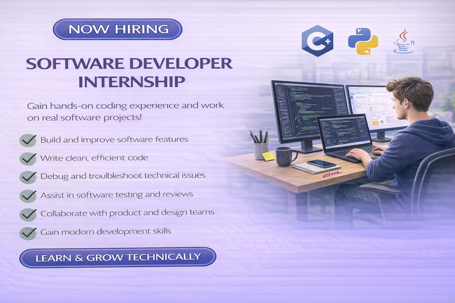 Software Developer
