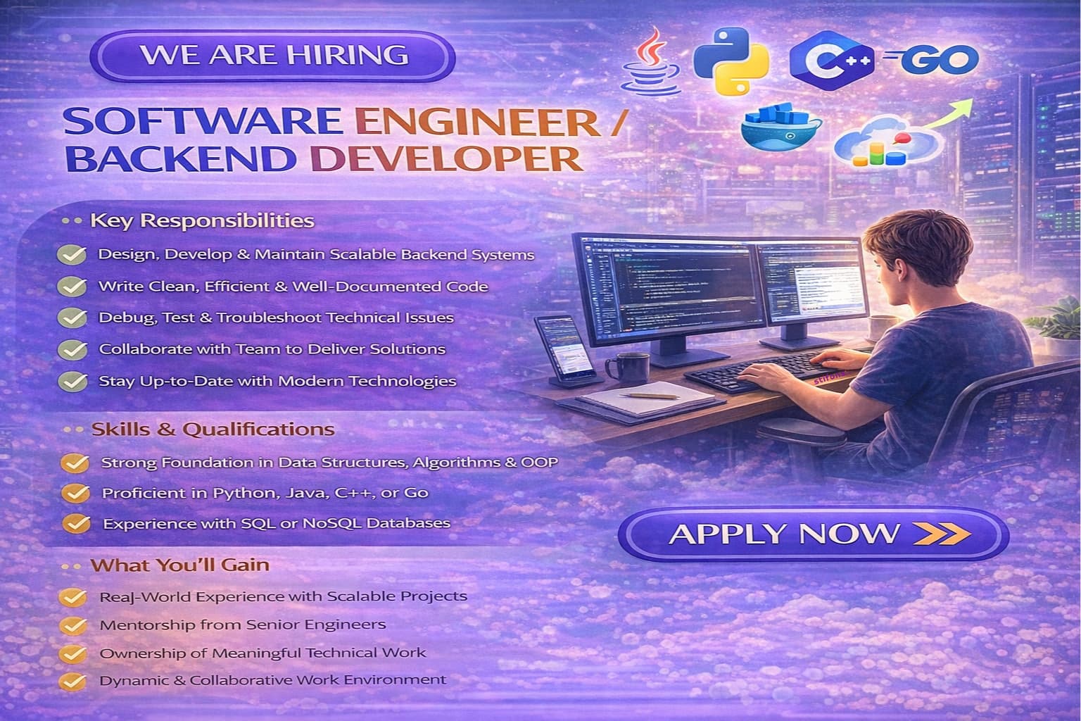 Software Engineer / Backend Developer